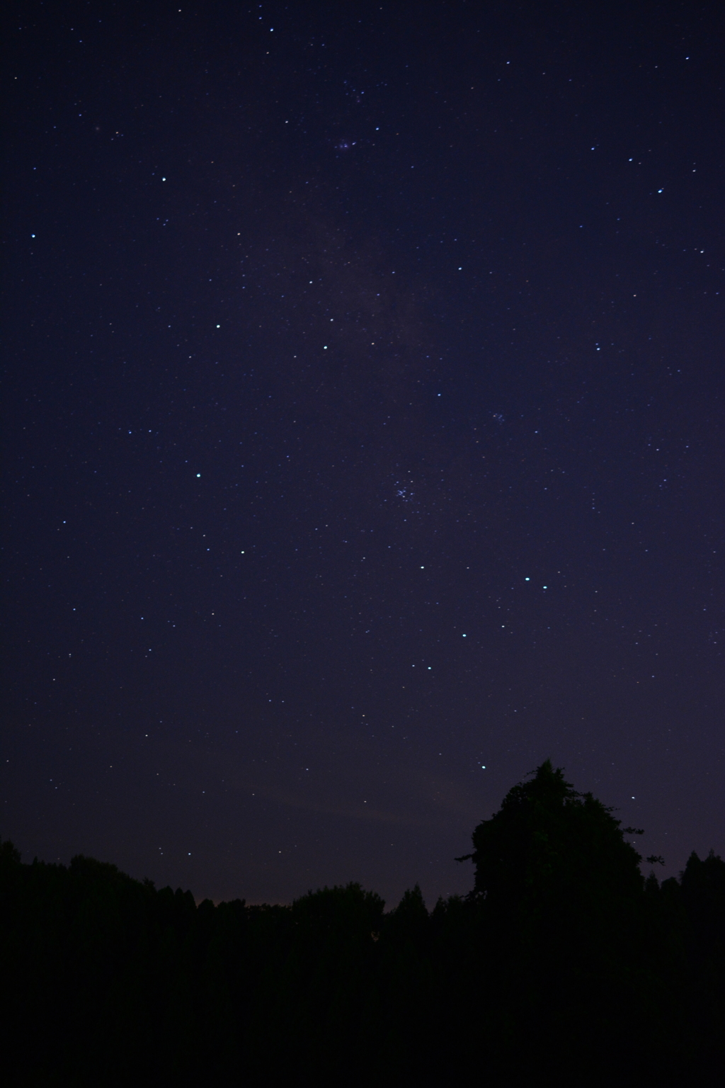 良く晴れた日の夜に