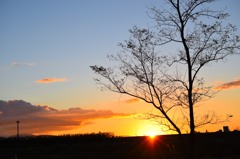 夕焼け