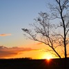 夕焼け