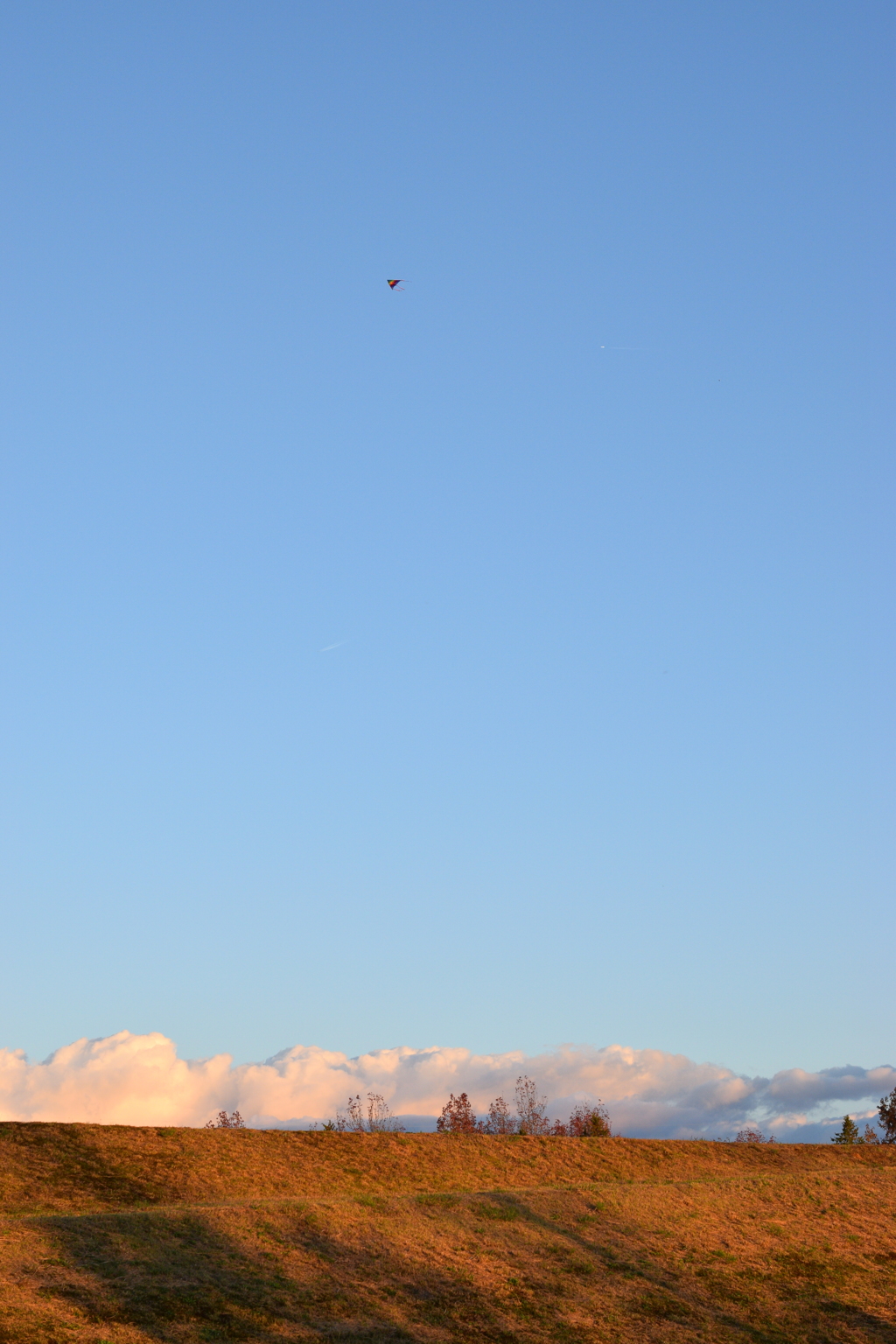 上空の凧
