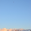 上空の凧