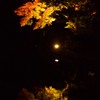 兼六園　ライトアップ
