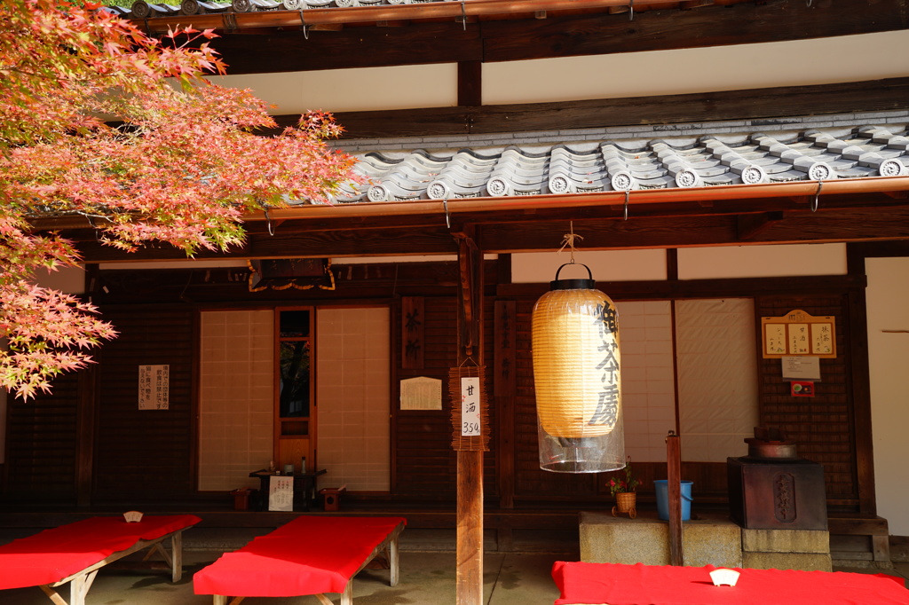 茶所