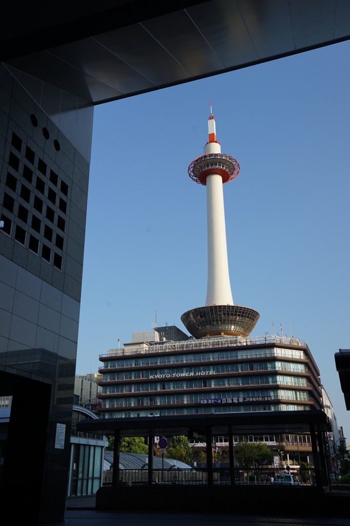 早朝の京都駅ビルから覗く京都タワー