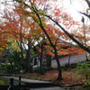 縣井観音と紅葉