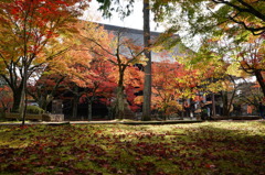 本堂と紅葉