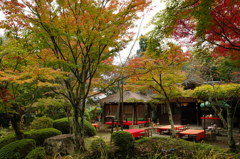 大原野神社の境内