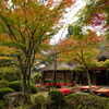 大原野神社の境内