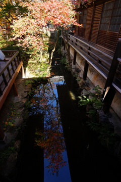 永観堂②