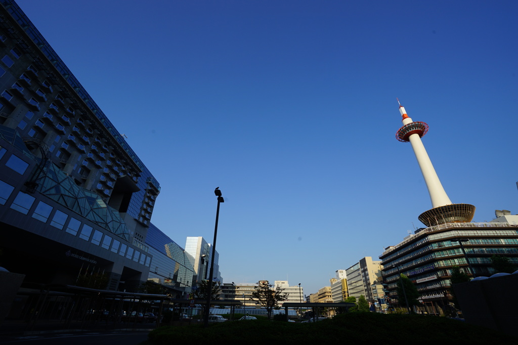 早朝の京都駅ビルと京都タワー