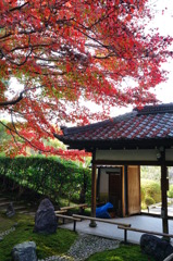 山門と紅葉
