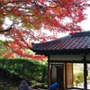 山門と紅葉