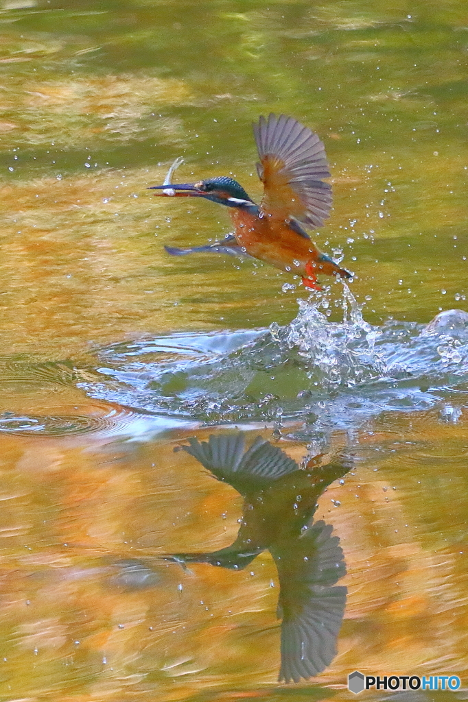 水鏡