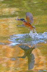 水鏡
