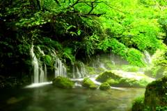 秋田県 元滝伏流水