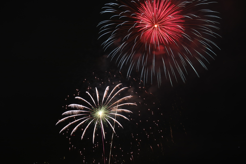 第45回吉野川祭り 納涼花火大会