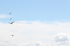 空