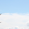 空
