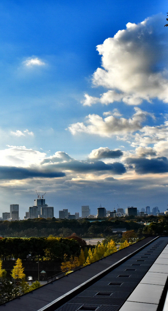 皇居の向こうのビル群と空