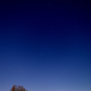 尾久の原公園から見えた12月の星空