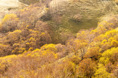 斜光指す秋の山肌