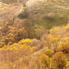 斜光指す秋の山肌