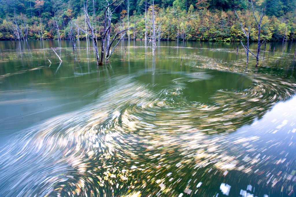 秋流れる池