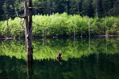 水鏡１　御岳自然湖
