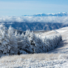 冬の高原view