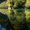 緑映す水鏡