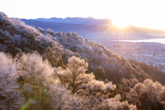 日の出爽やかに