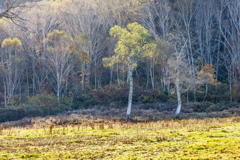 美しい立ち姿 美しい立ち姿