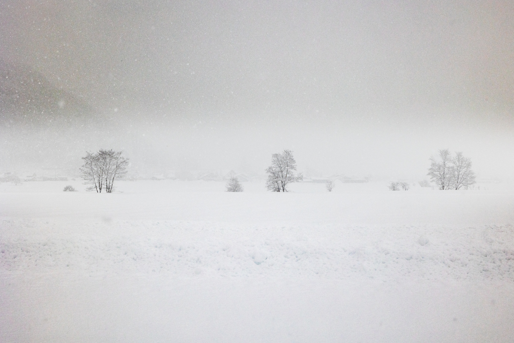 静かな雪