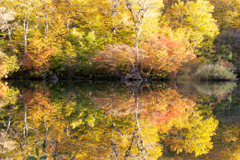 紅葉を優しく映す