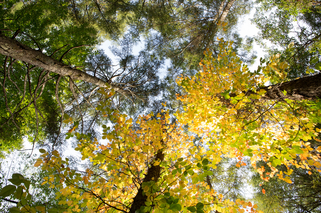 もうすぐ　この季節がやってくる