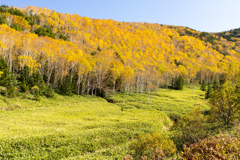 清々しい秋色高原 清々しい秋色高原