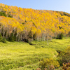清々しい秋色高原