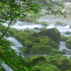 苔むす川