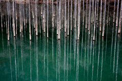 針の湖