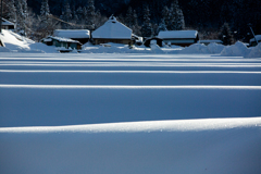 雪国の畑の景