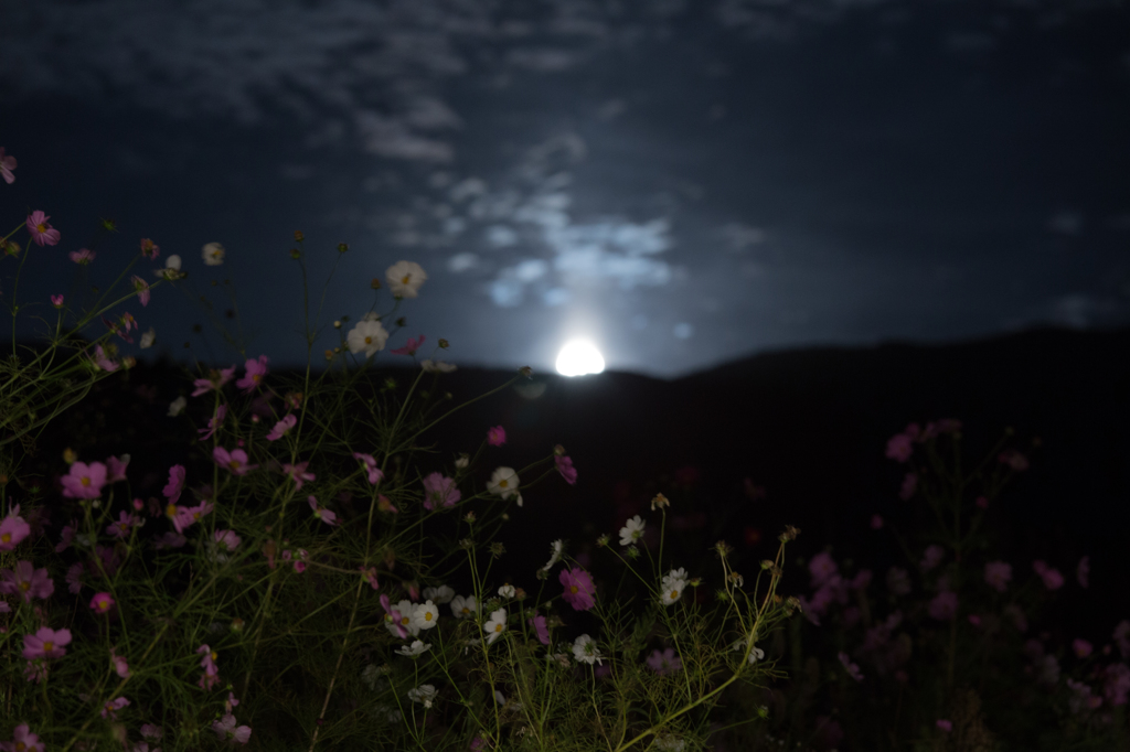 スーパームーンの次の日の月