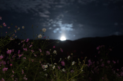 スーパームーンの次の日の月