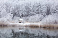 春待つ湖畔