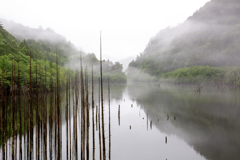 自然湖（梅雨の頃）