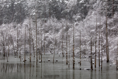 池　化粧するとき