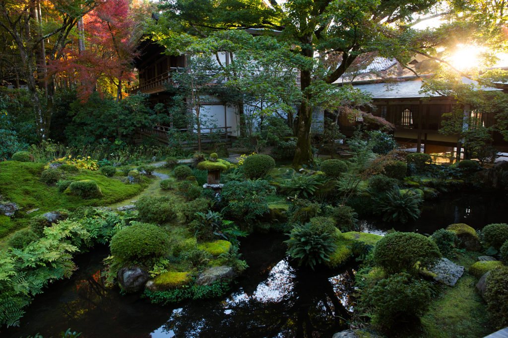 三千院夕刻散策３