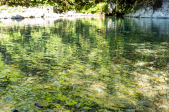 ガラスっぽい水面