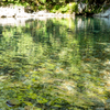 ガラスっぽい水面