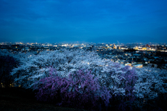 夜が明ける頃