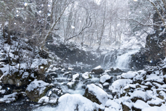 春雪の滝